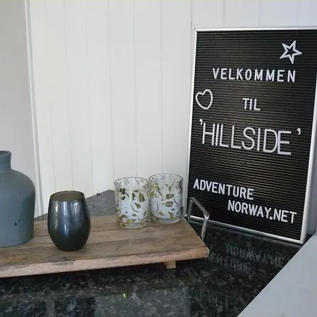 Hillside - Adventure Norway Ferienhaus
